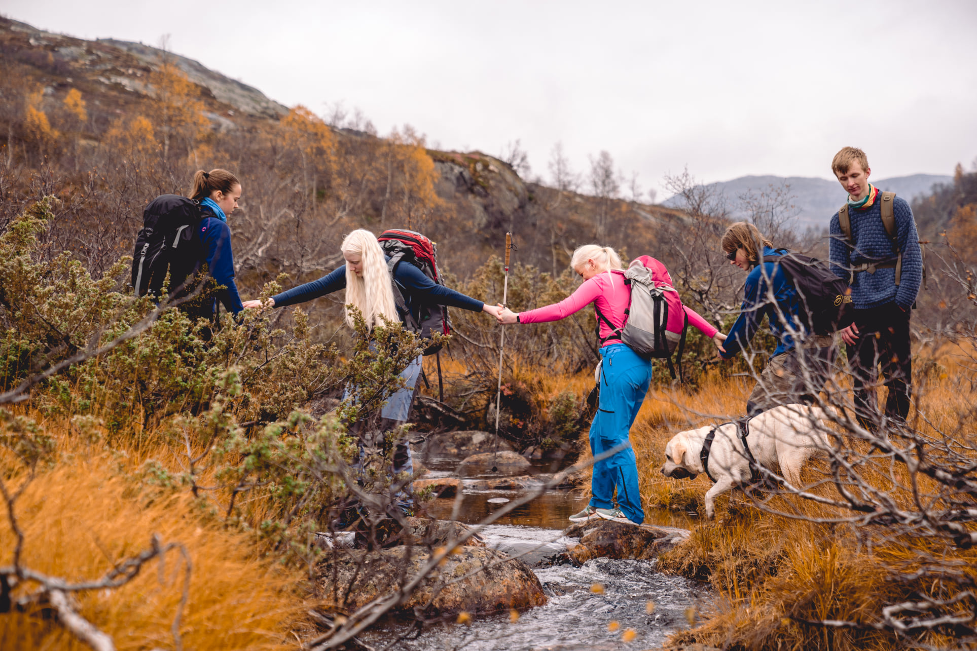 Fem mennesker krysser en elv ute i høstnaturen. Alle holder hender for å hjelpe hverandre over elven. Ei av jentene holder en mobilitetsstokk. I tillegg er den en hvit førerhund med på bildet. 
